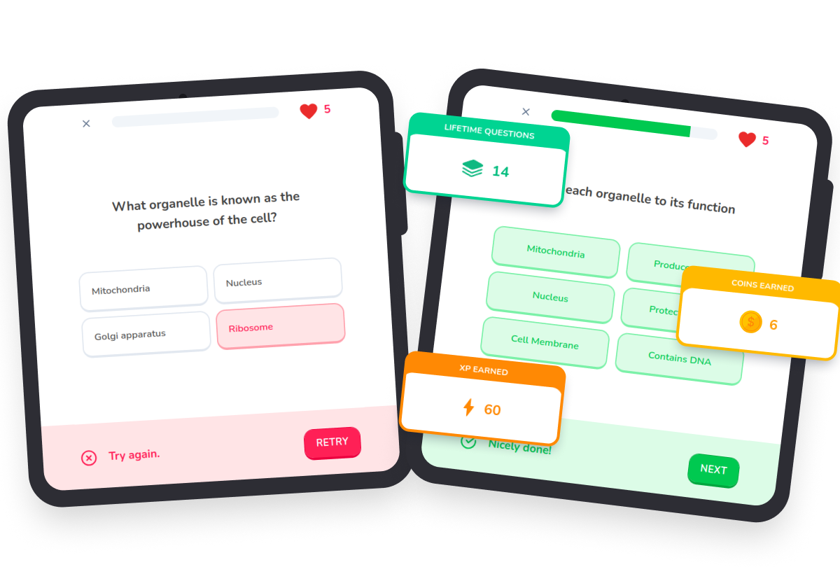 Create flashcards the way you want